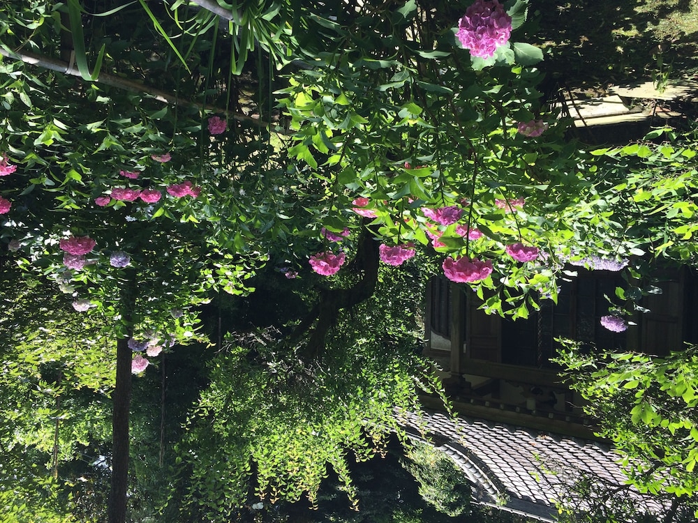 亀時間 横浜