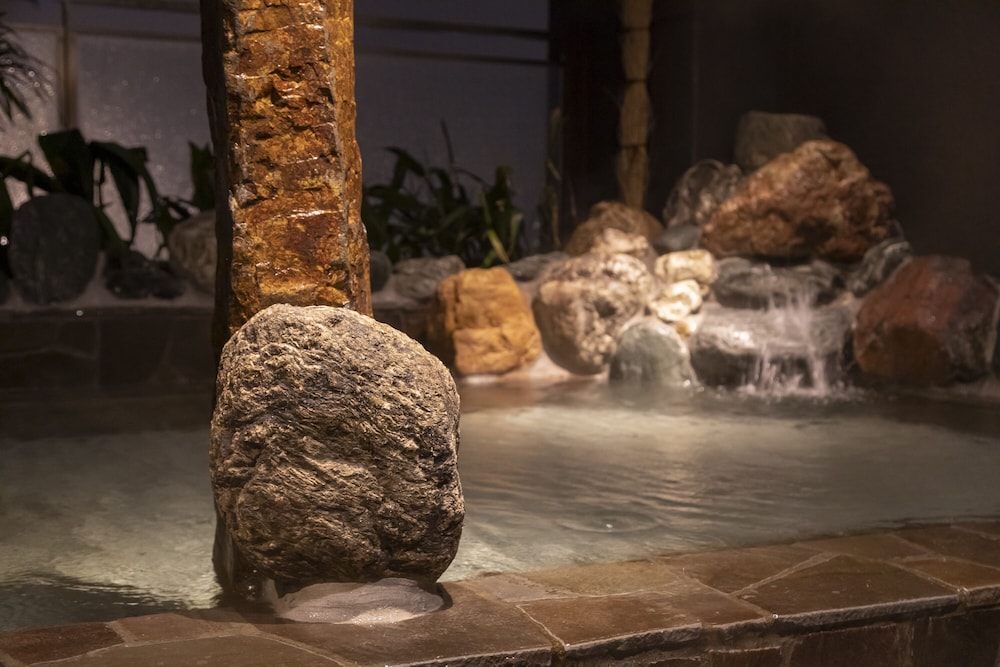 天然温泉 扇浜の湯 ドーミーイン 川崎 横浜