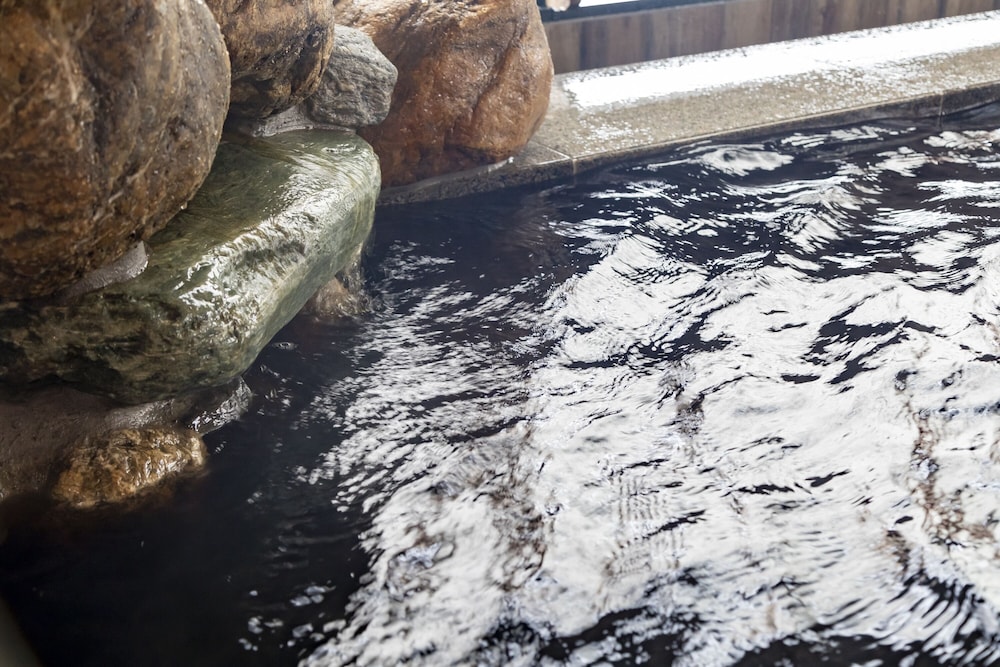 天然温泉 扇浜の湯 ドーミーイン 川崎 横浜