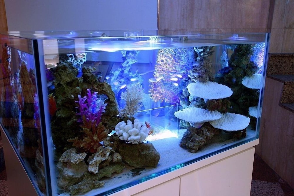 ホテル アクアブルー横須賀 横浜