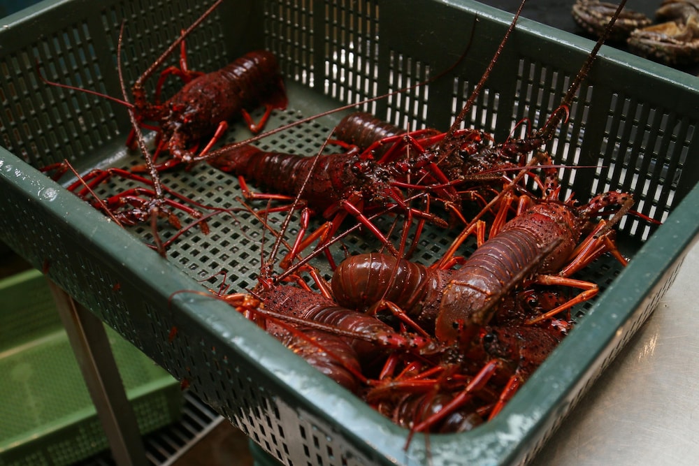 磯料理 旅館やまに 横浜