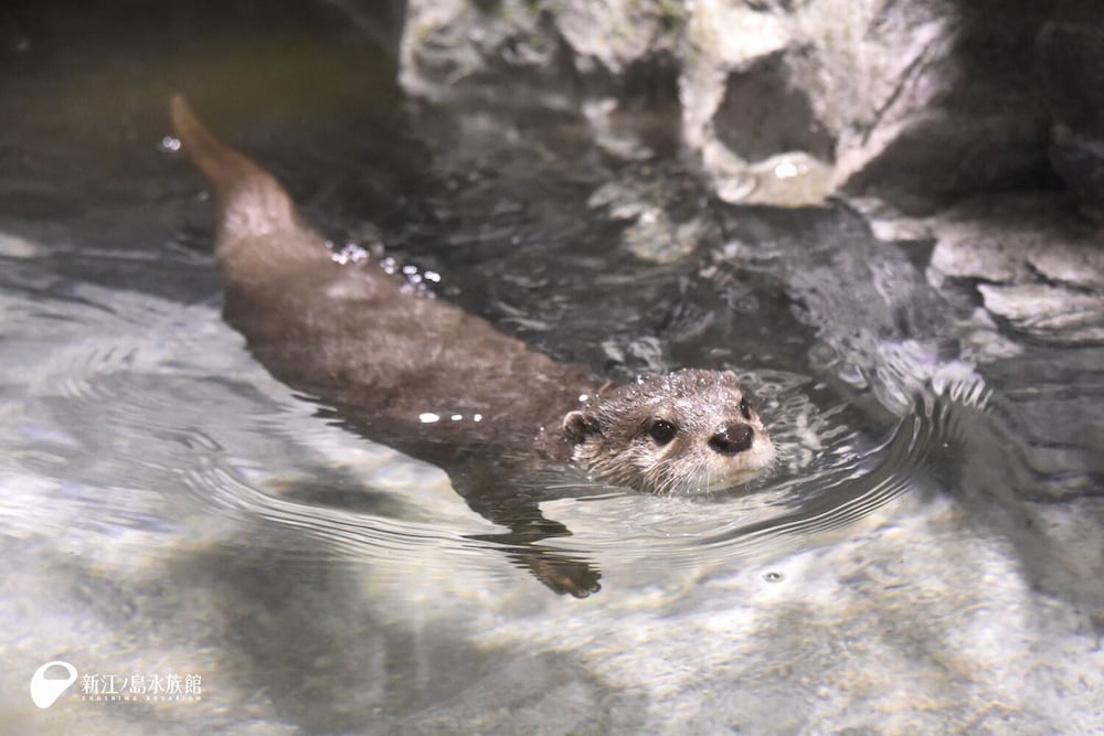 江の島ホテル 横浜