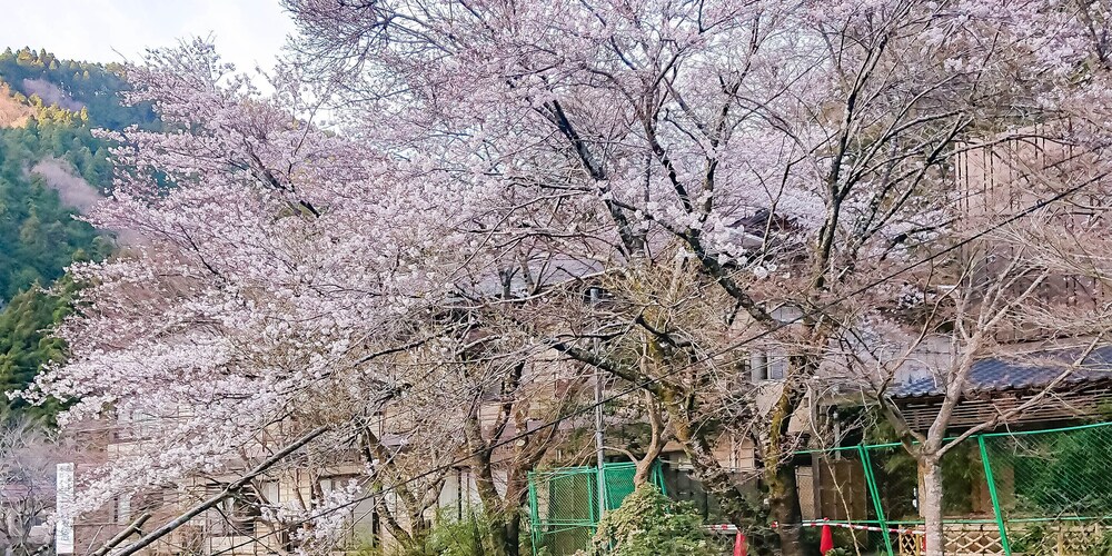 魚山亭やまぶき 横浜