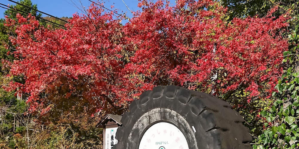 魚山亭やまぶき 横浜