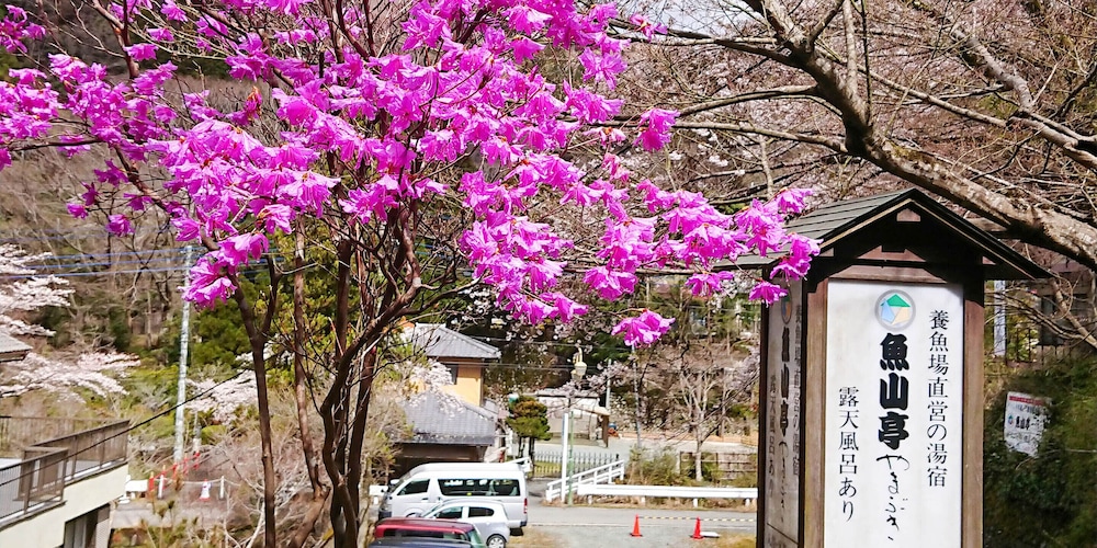 魚山亭やまぶき 横浜