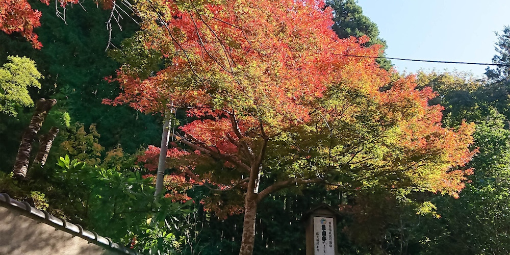 魚山亭やまぶき 横浜