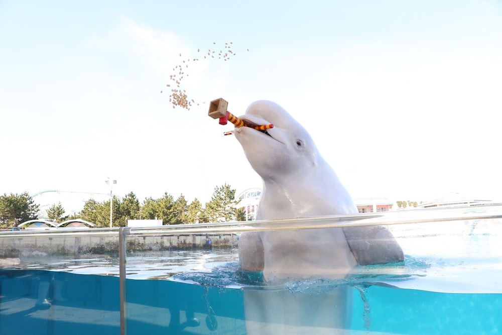 ヒロマスホステル 横浜中華街 横浜
