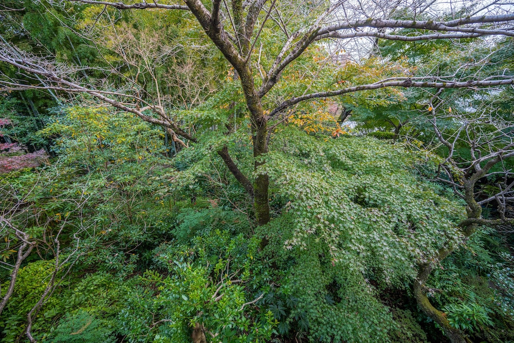 JINYA RYOKAN 横浜