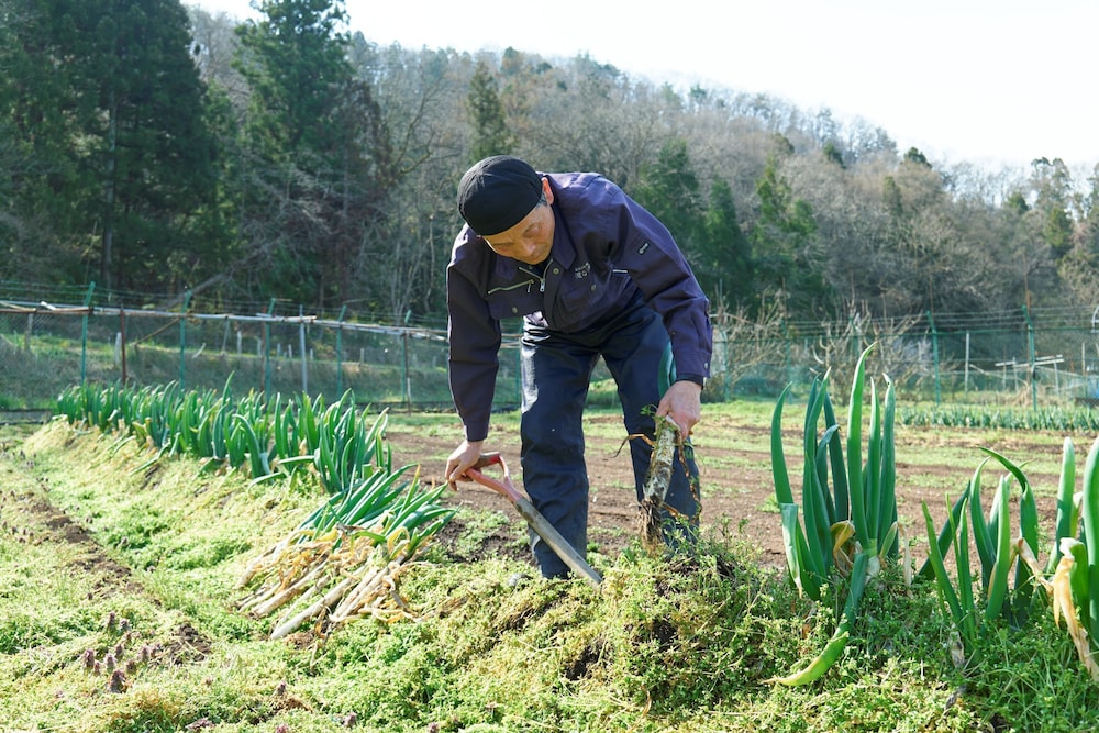 滝の湯 山形