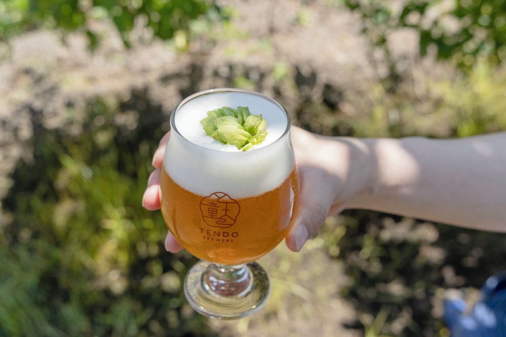 湯坊いちらく TENDO SPA & BREWERY 山形