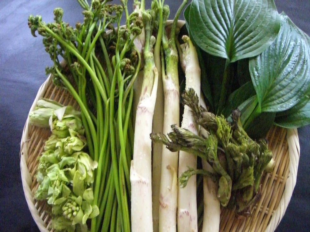 多聞館 山形