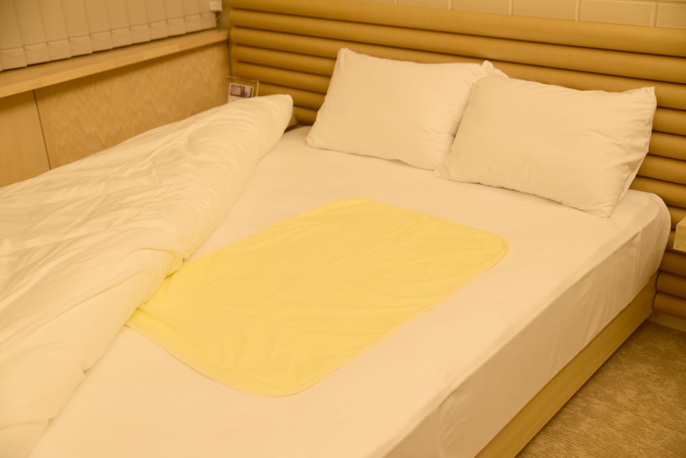 SHONAI HOTELSUIDEN TERRASSE 山形