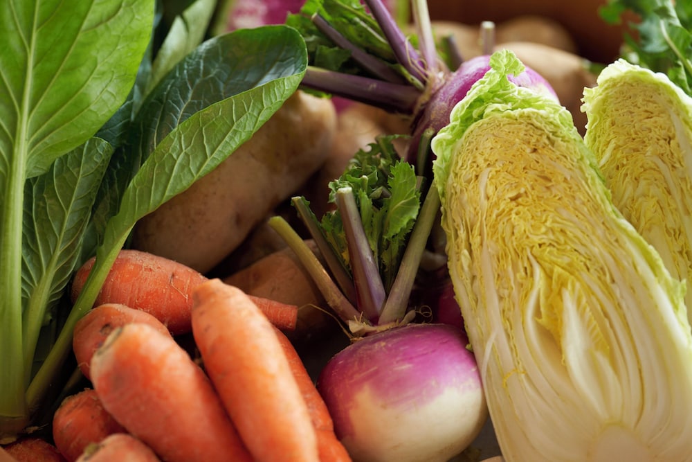 SHONAI HOTELSUIDEN TERRASSE 山形