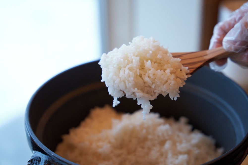 SHONAI HOTELSUIDEN TERRASSE 山形