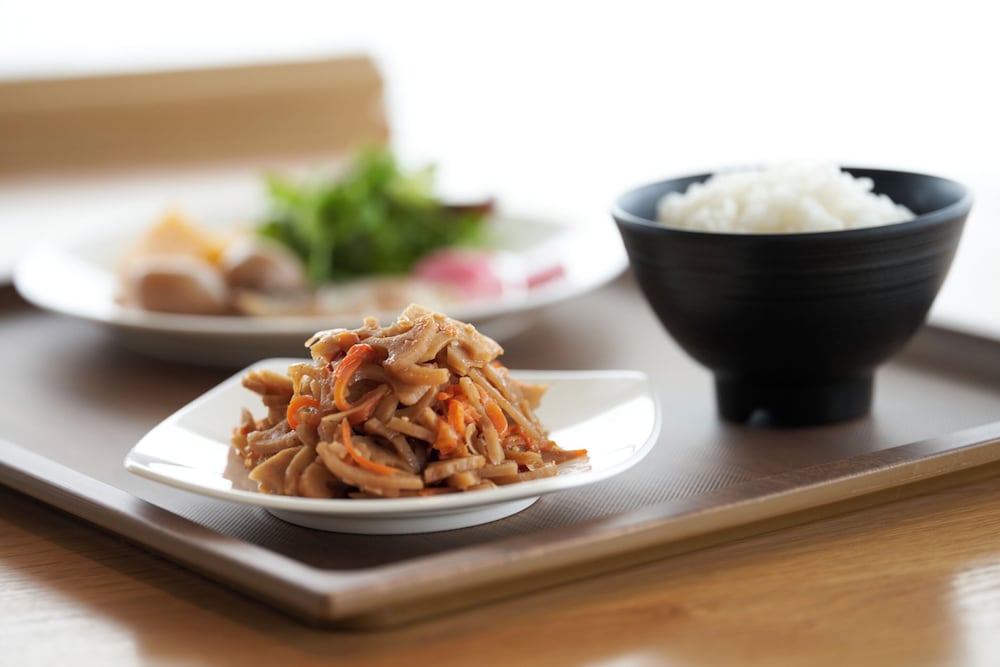 SHONAI HOTELSUIDEN TERRASSE 山形