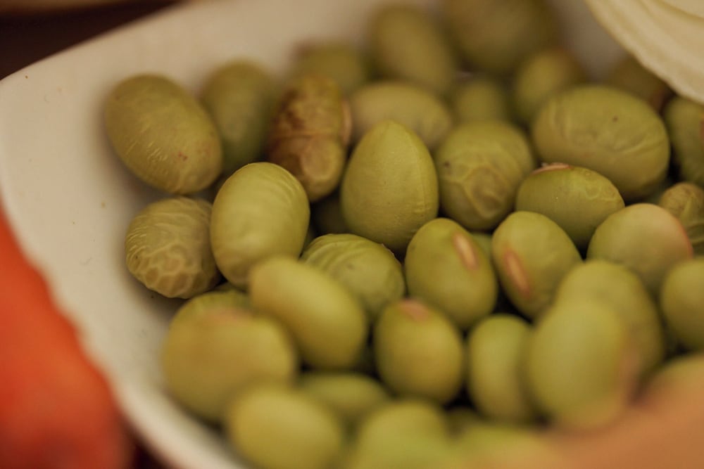 SHONAI HOTELSUIDEN TERRASSE 山形