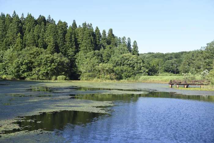 休暇村庄内羽黒 山形