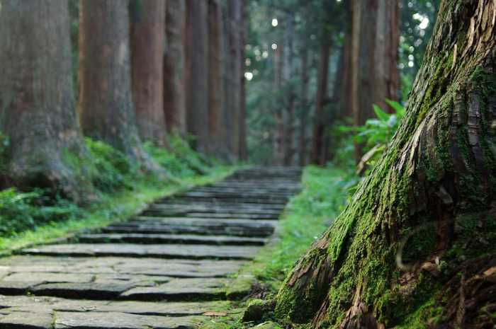 休暇村庄内羽黒 山形