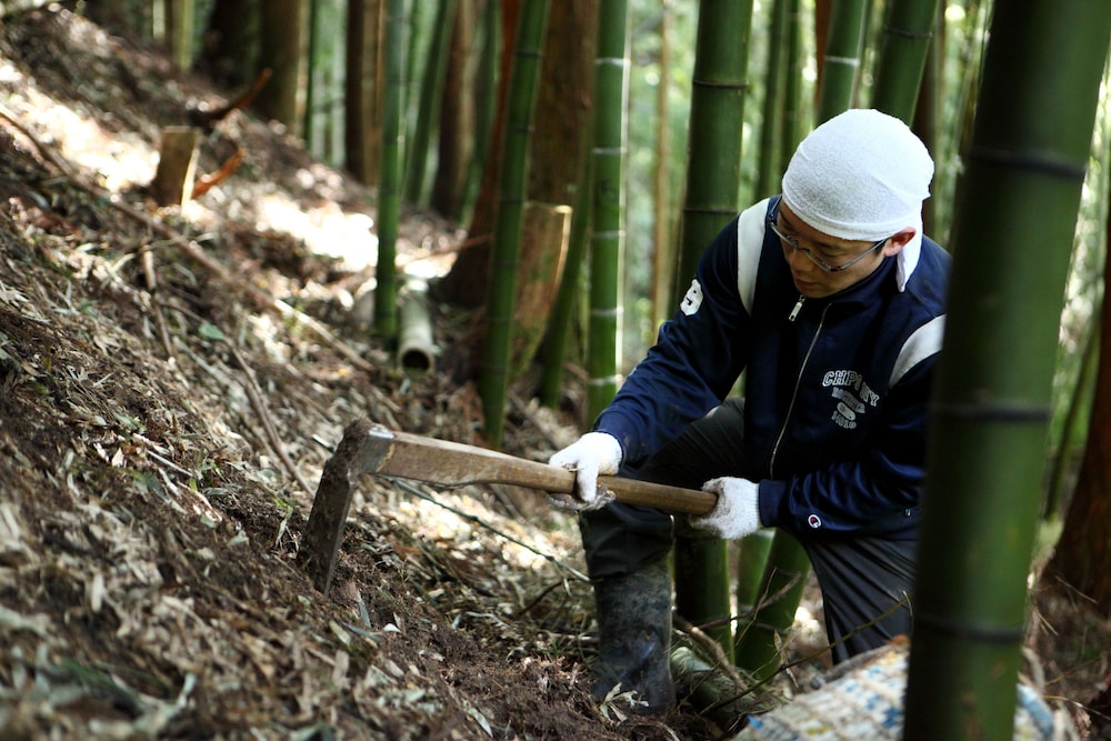 つかさや 旅館 山形