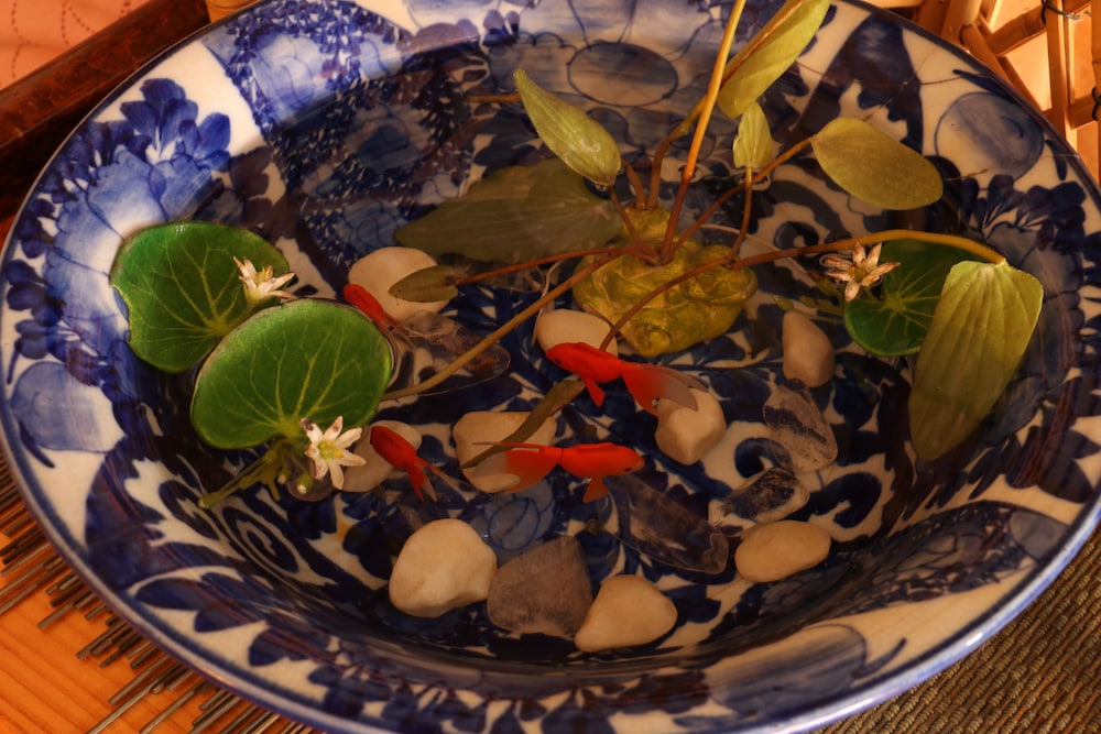 湯田川温泉 甚内旅館 山形