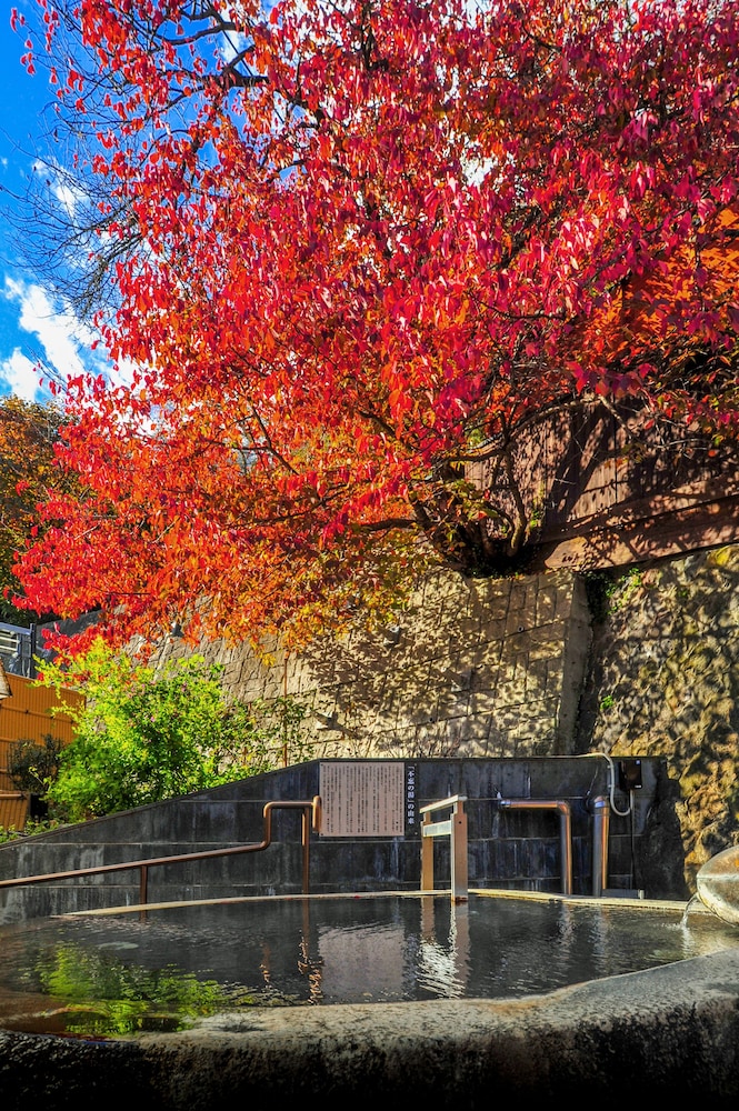 赤湯温泉 御殿守 山形