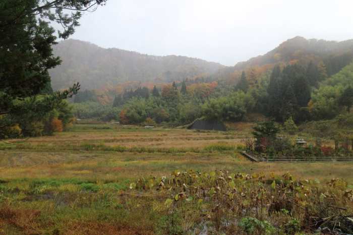 OHANABATAKE 山形