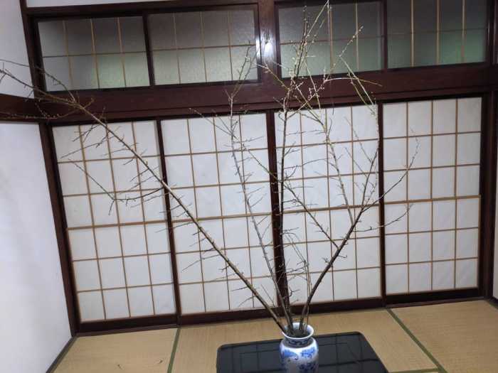 OHANABATAKE 山形