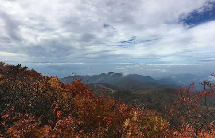 ZAOセンタープラザ 山形