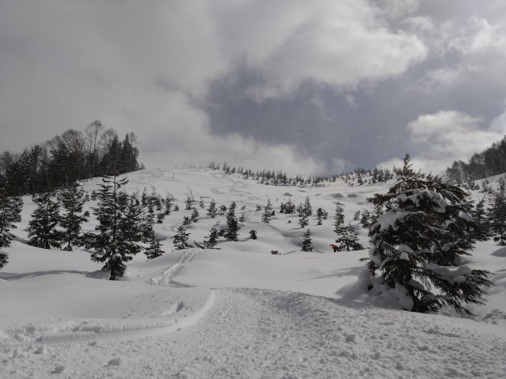 蔵王温泉 林檎屋 山形