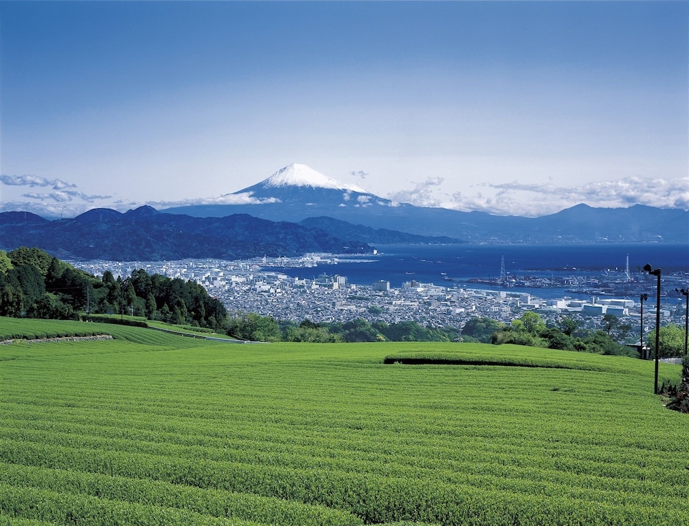 静岡北ワシントンホテルプラザ 静岡