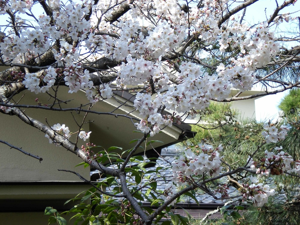ホテル羽衣 静岡