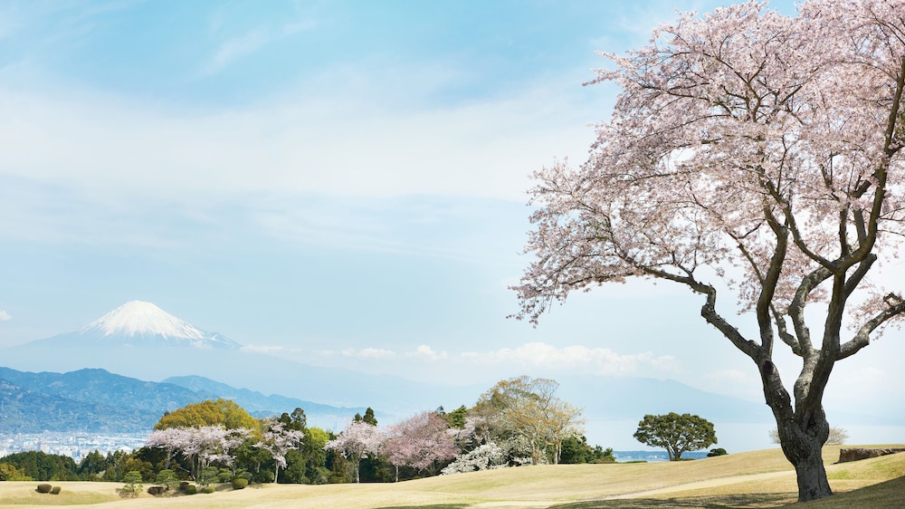 日本平ホテル 静岡
