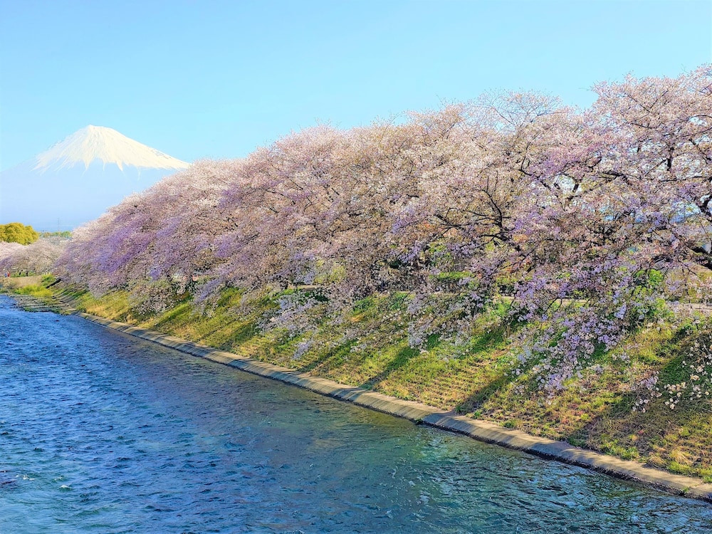 ホテルアソシア静岡 静岡