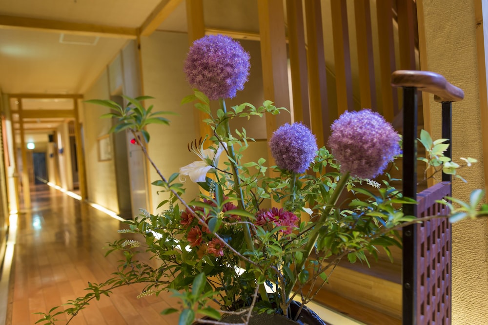 淘心庵 米屋 静岡