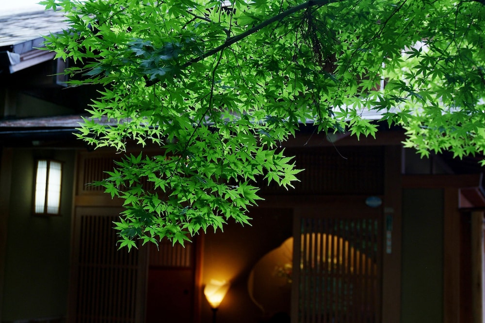 淘心庵 米屋 静岡