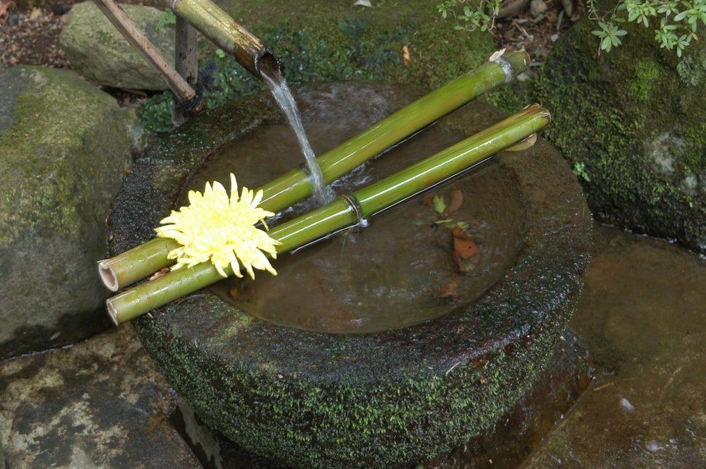 淘心庵 米屋 静岡