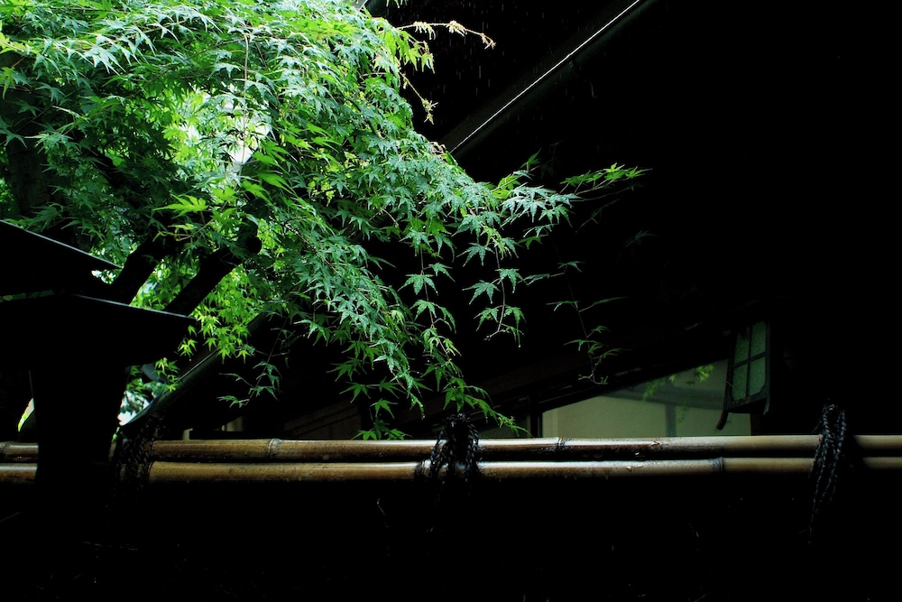 淘心庵 米屋 静岡