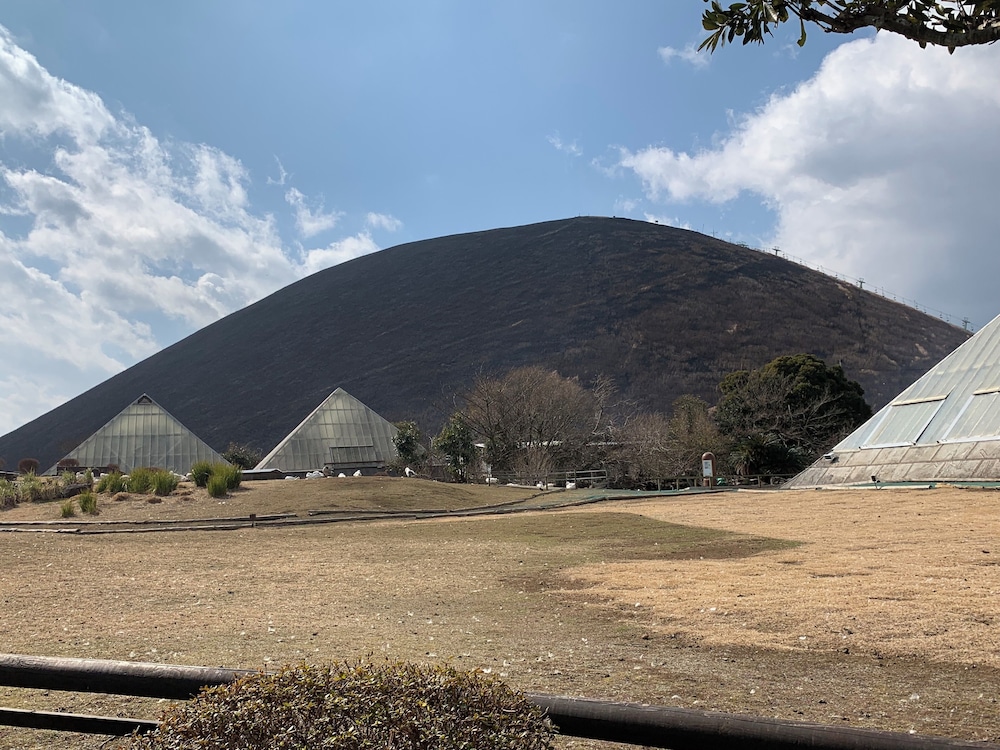 淘心庵 米屋 静岡