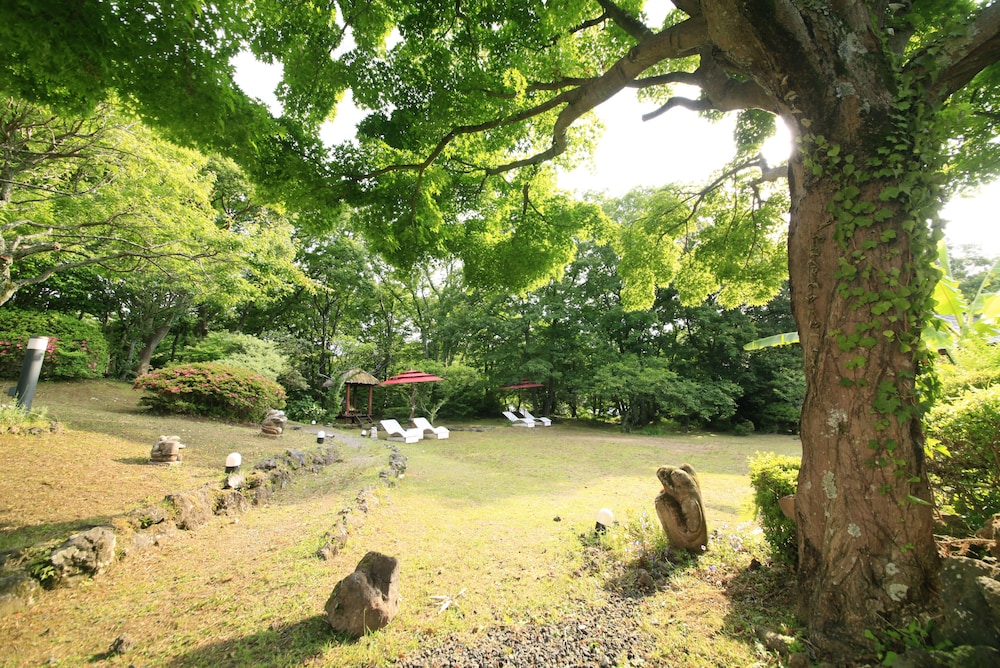 アンダの森 伊豆いっぺき湖 静岡