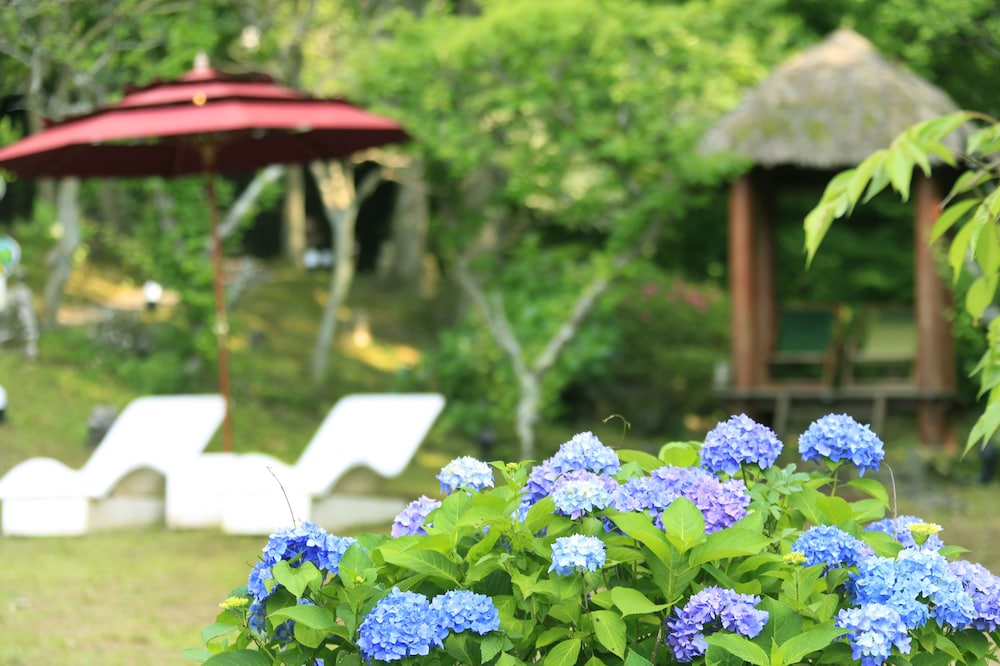 アンダの森 伊豆いっぺき湖 静岡