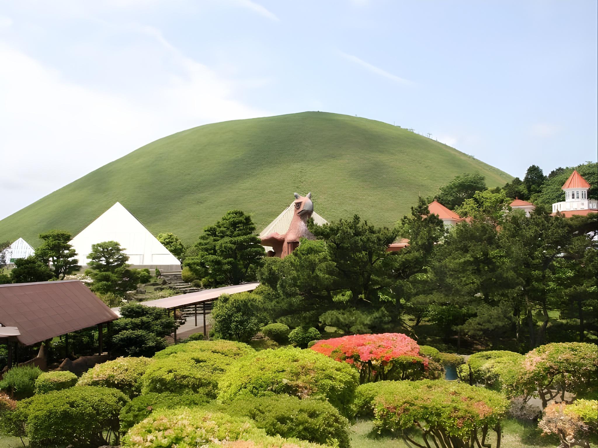 茄子のはな 静岡