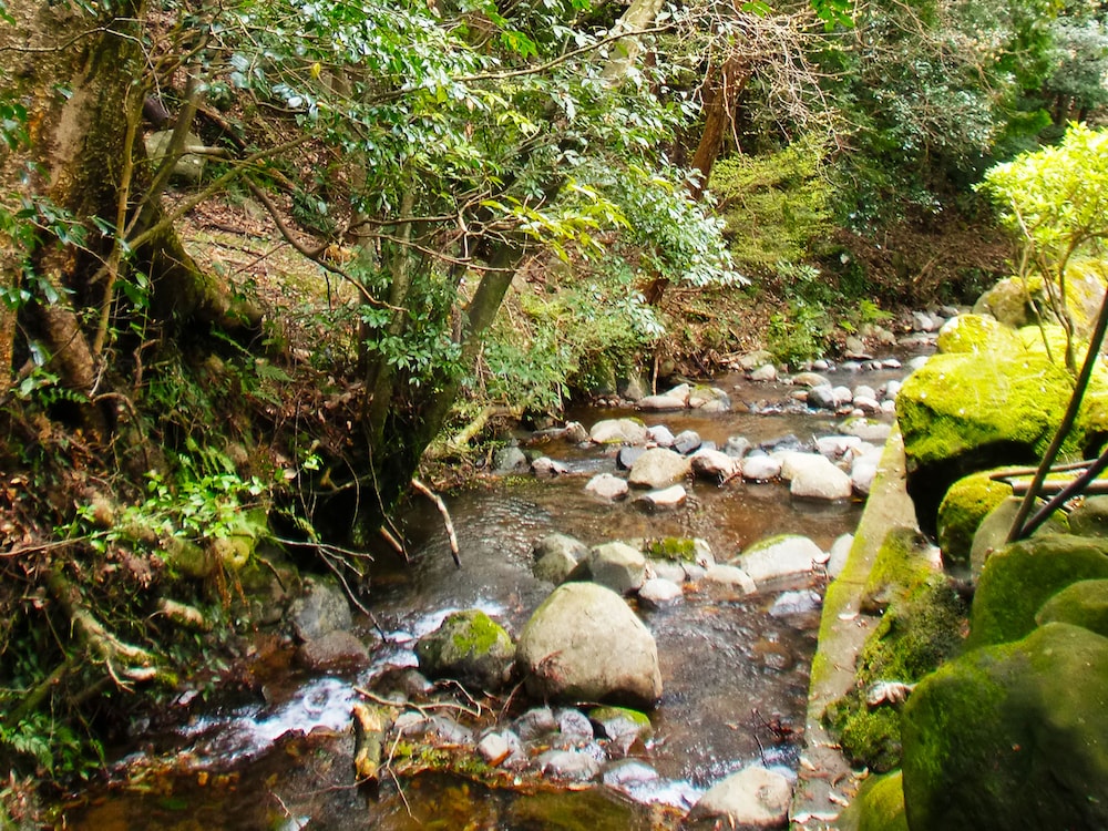 伊豆温泉ホテル 森の泉 静岡