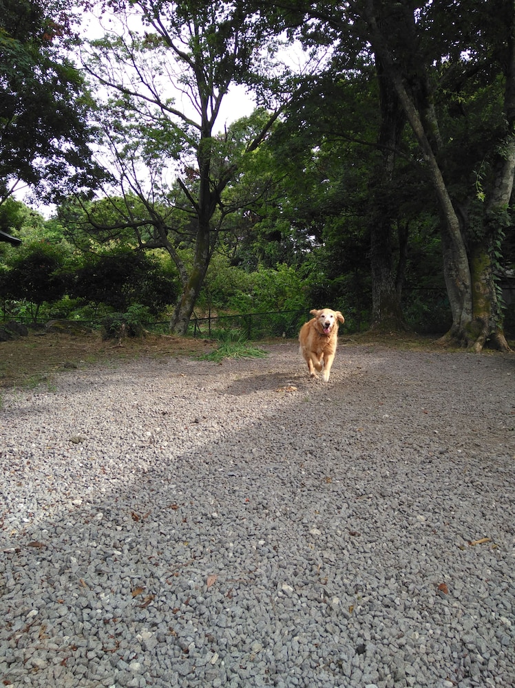 伊豆高原貸別荘 ハレ イリオ 静岡