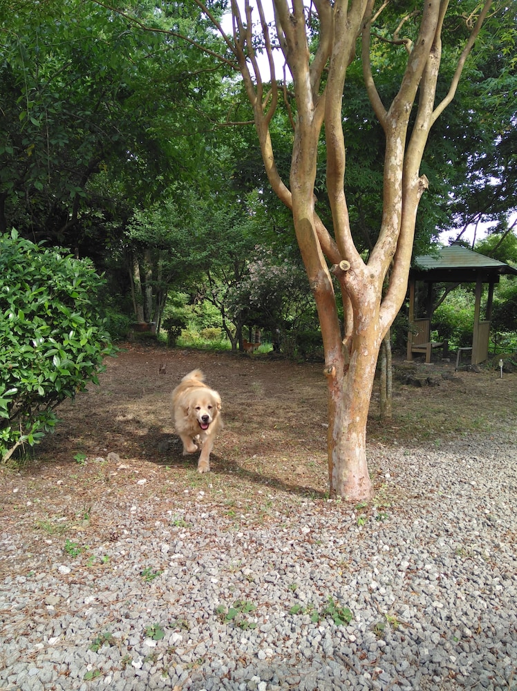 伊豆高原貸別荘 ハレ イリオ 静岡