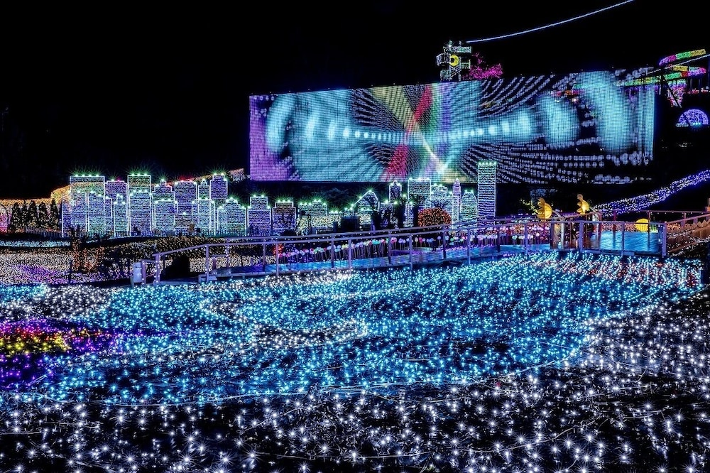 天使のイルカ！ 静岡