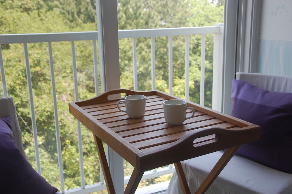 天使のイルカ！ 静岡