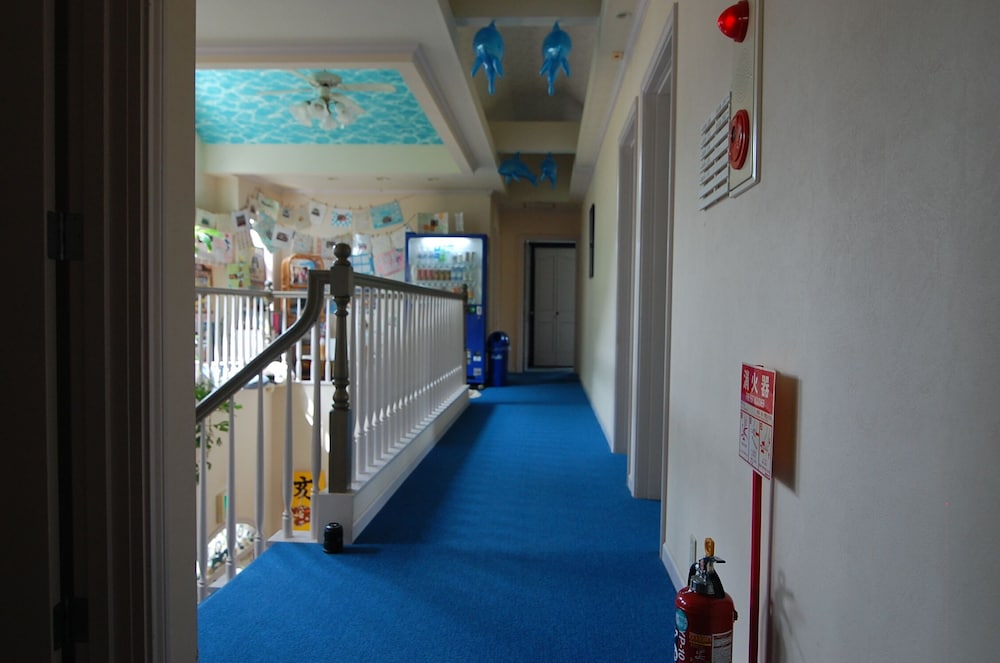 天使のイルカ！ 静岡