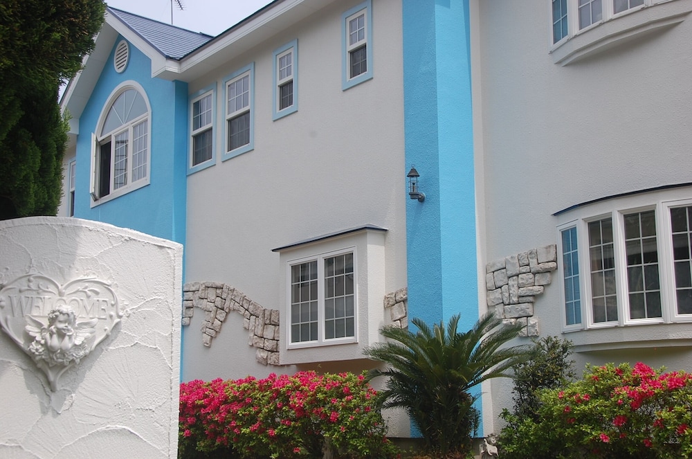 天使のイルカ！ 静岡