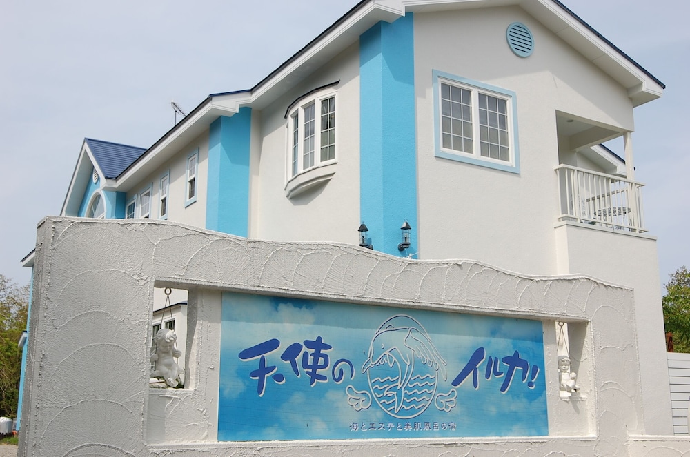 天使のイルカ！ 静岡