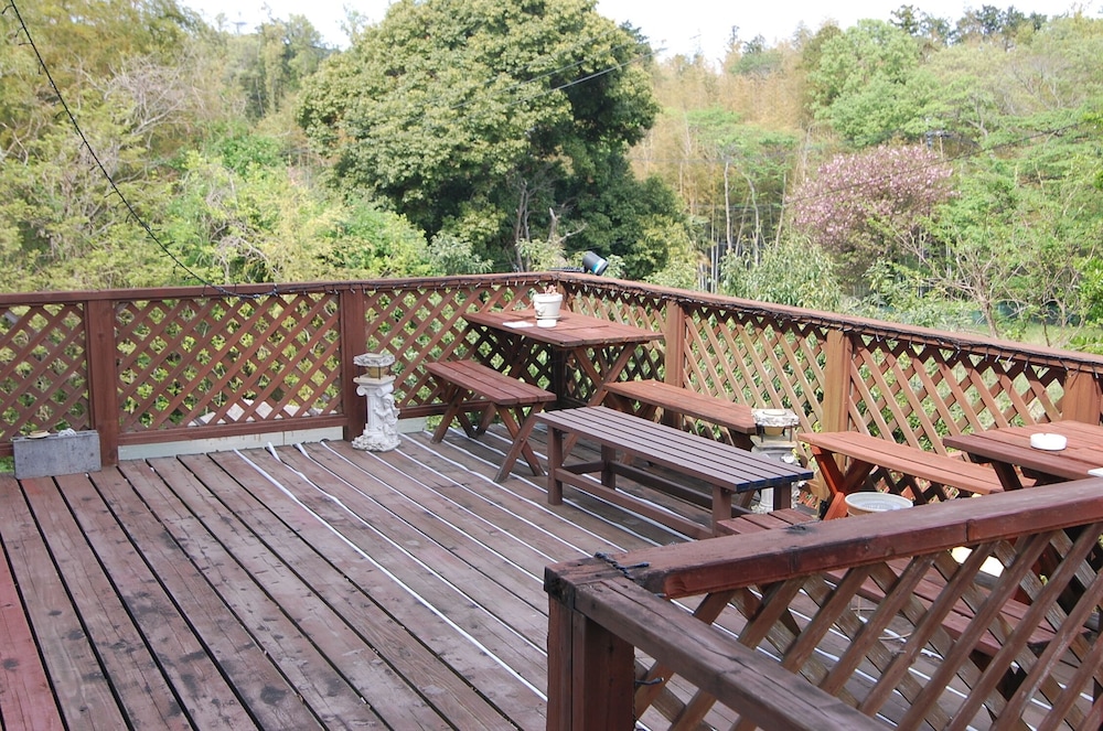 天使のイルカ！ 静岡